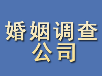 沙雅婚姻调查公司