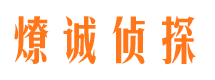 沙雅调查事务所